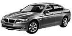 BMW F10 P260D Fault Code